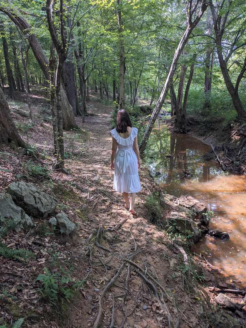 Cassie walking on path in the woods